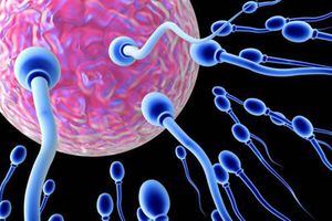 POBEDILI PRIRODU: Naučnici otkrili da je začeće moguće bez reproduktivnih ćelija