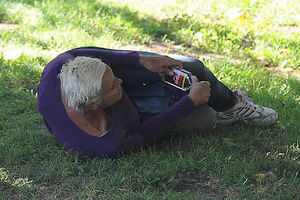 Brigit Nilsen mrtva pijana u parku LA