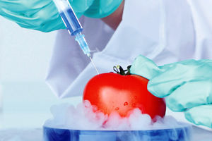 BIOLOG UPOZORAVA: Stvaranje GMO proizvoda nije pod kontrolom