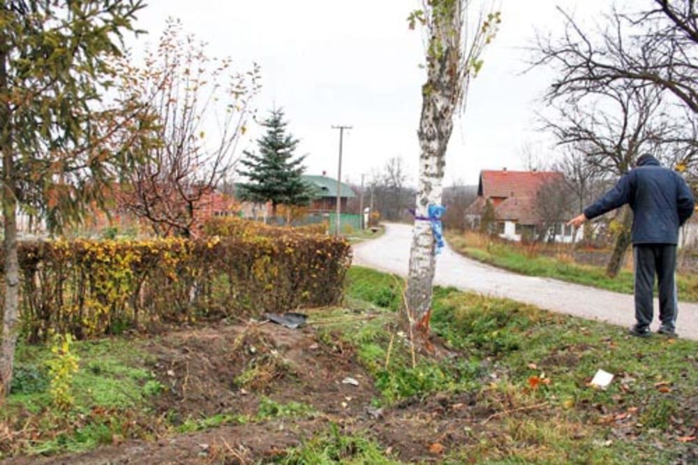 TRAGEDIJA: Brat poginuo, sestra teško povređena