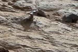 ŽIVOT NA MARSU: Gušter luta Crvenom planetom?!