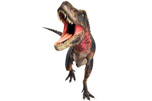 VELIKI PREDATOR, MALE RUKE: Evo zašto je Tiranosaurus Reks imao nerazvijene prednje udove