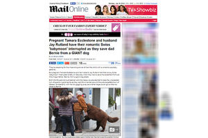 ZAMALO NASTRADAO: Na Bernija Eklestona skočio pas koji je veći od njega