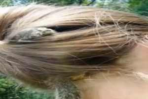 ODOMAĆILA SE: Devojčica pustila vevericu da živi u njenoj kosi