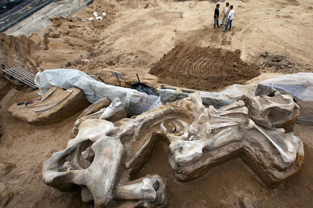 SENZACIJA U BLAČKOM DVORIŠTU: Pronađene kosti mamuta stare više od 10 miliona godina