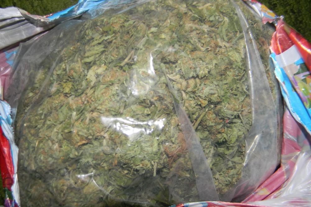 HORGOŠ: Zaplenjeno 10 kg marihuane