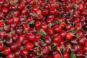 NAKAČILI SE NA SIROTINJU: Čačak zabranio prodaju voća i povrća na Ibarskoj magistrali