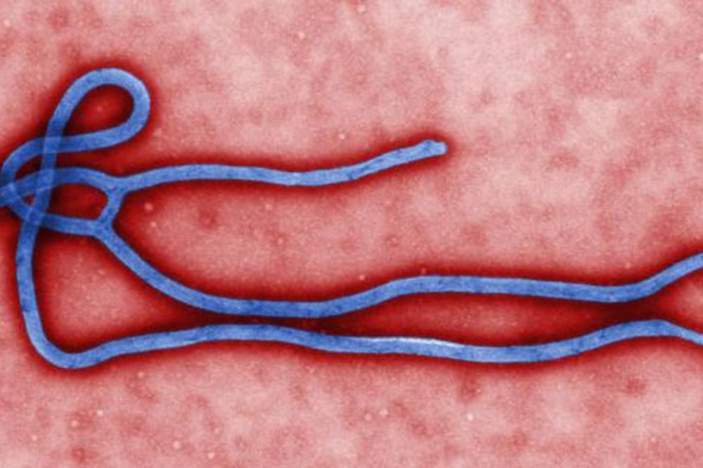 SMRT STIŽE U KOMŠILUK: Lekar oboleo od ebole vraća se kući u Italiju
