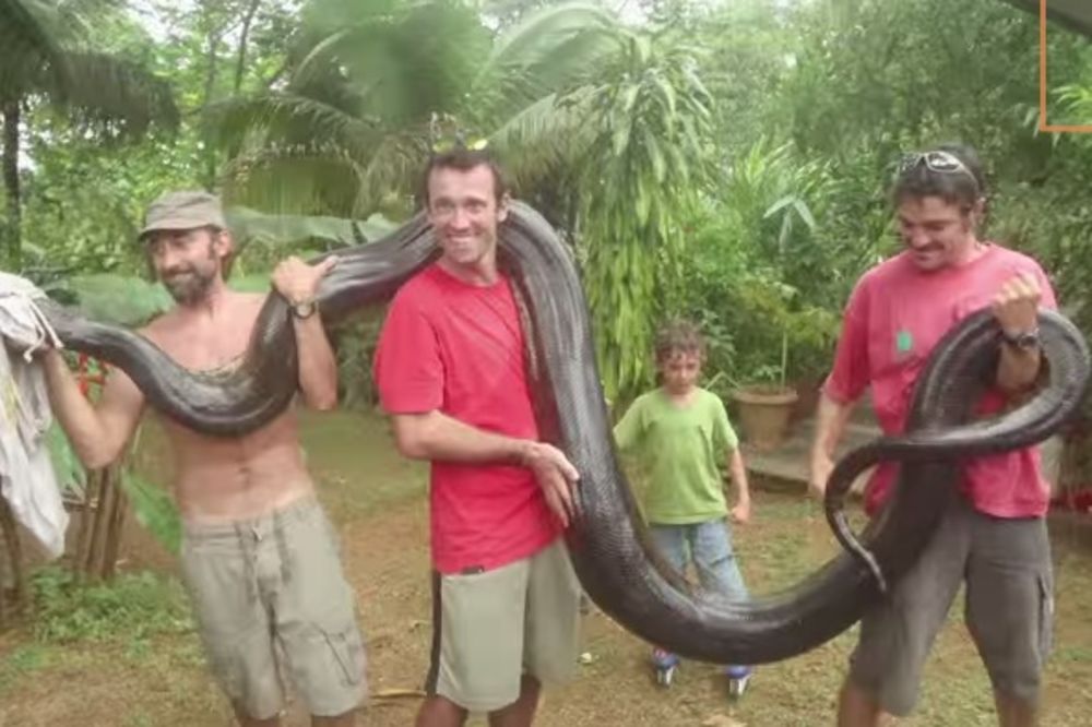 Učitelj matematike golim rukama uhvatio anakondu dugu pet metara