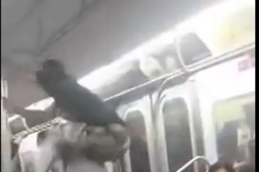 OVO MOŽETE DOŽIVETI SAMO U NJUJORKU: Izveli plesni šou u vozu i oduševili putnike!