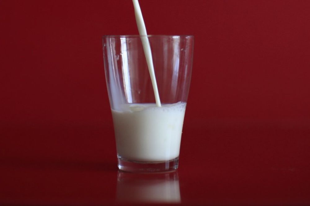 Ljajić: Turci žele da otvore mlekaru u Srbiji