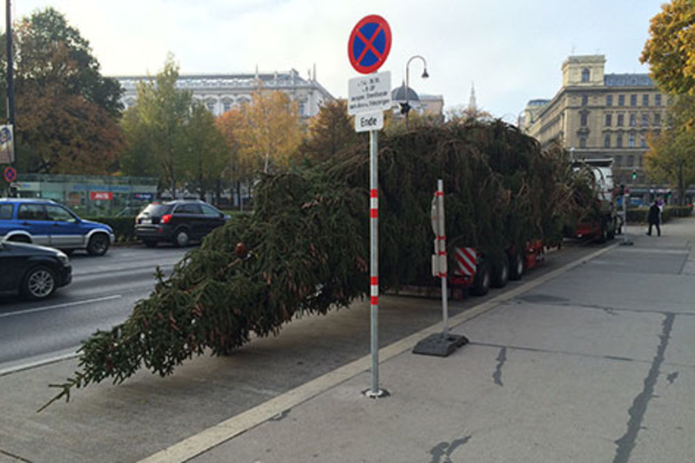 U Beč stiglo tirolsko božićno drvo, lampice se pale 15. novembra!