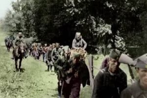 ČIJE SU KOSTI U GROBNICI NA ŠIBOVU: Sa Đurišićevim četnicima bežalo i 10.000 žena, dece i staraca!