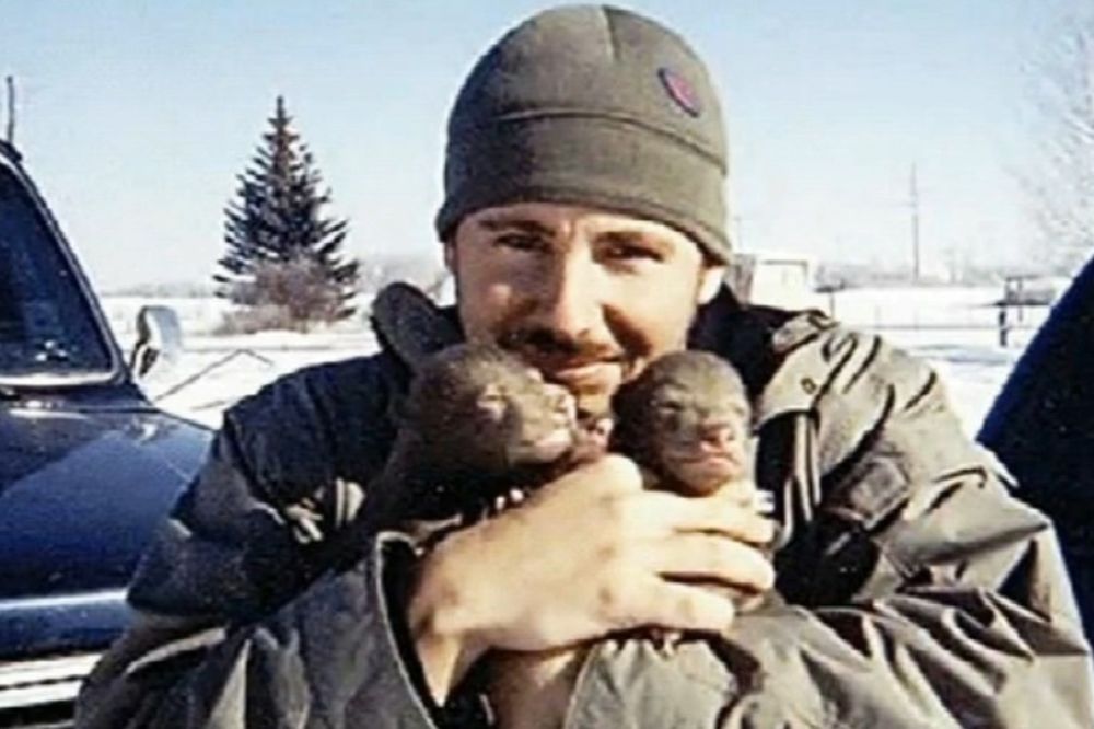 (VIDEO) Pronašao je 2 medvedića pored mrtve majke. Jedan je samo preživeo, evo šta je bilo s njim