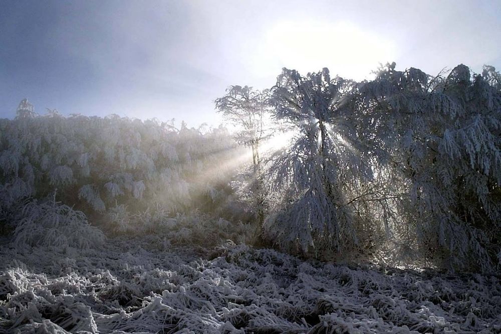 MINUS 7: Crni vrh najhladniji, najtopliji Zlatibor sa 6 u plusu!