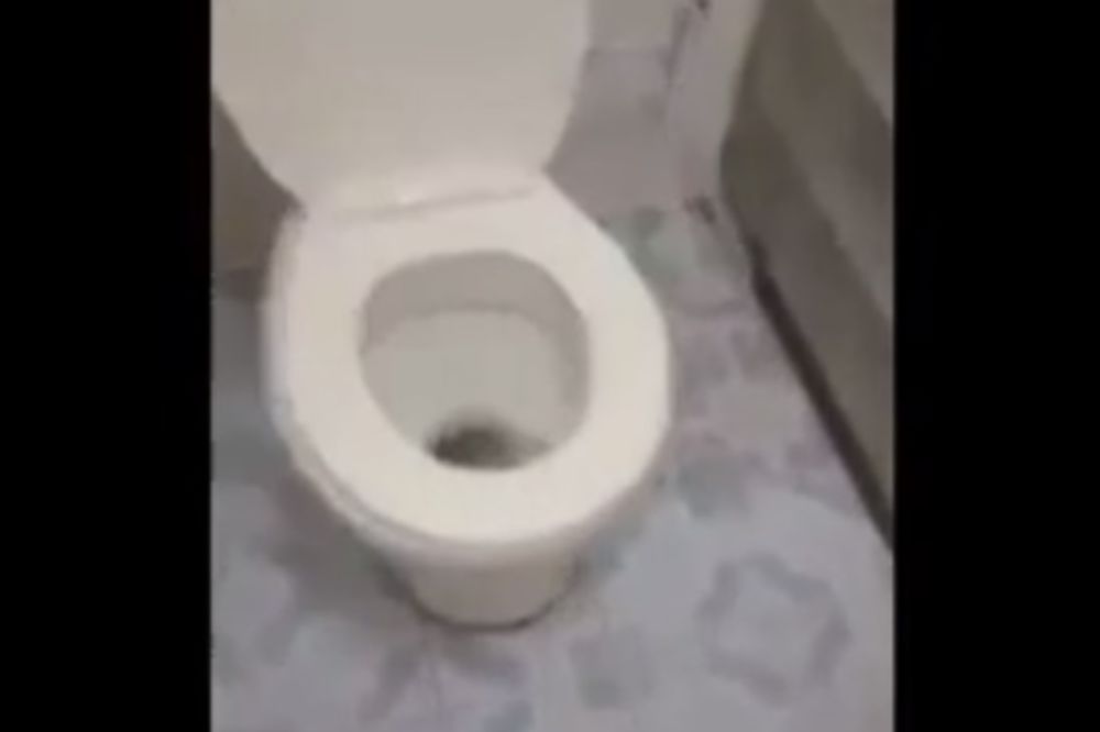 (VIDEO) Šokiraće vas kad vidite šta može da izađe iz WC šolje!