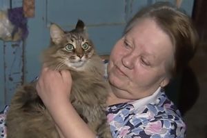 (VIDEO) PRAVI HEROJ: Pogledajte kako je ova mačka spasla život napuštenoj bebi u Rusiji!