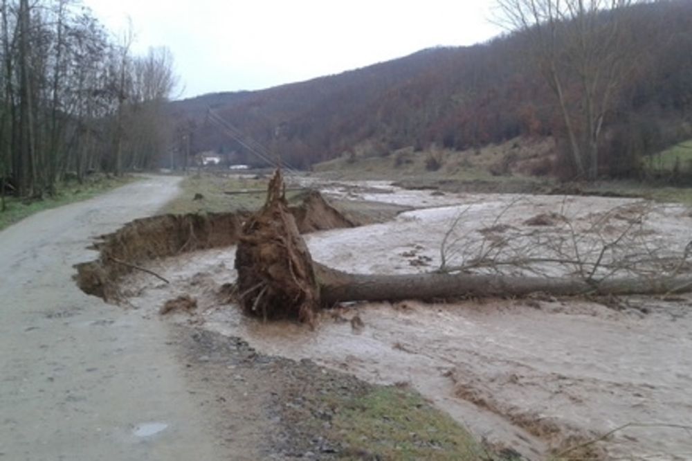 VANREDNO STANJE ZBOG POPLAVA: Voda čupa drveće, sela bez struje u Vranju