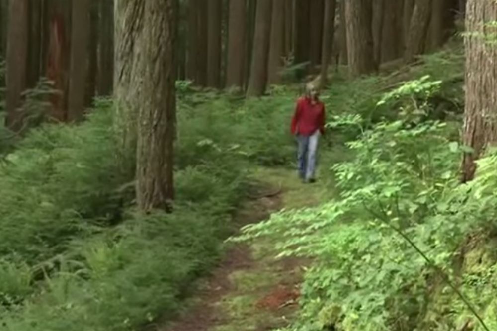 (VIDEO) Posle ovog teksta više nikada nećete proći kroz šumu na isti način