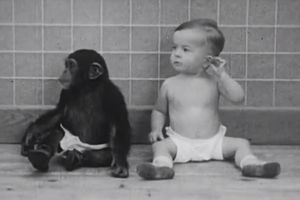(VIDEO) EKSPERIMENT: Beba i šimpanza su odrasli zajedno, a ovo su rezultati...