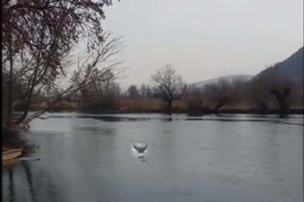 (VIDEO) Ovako izgleda kada Bosanac vidi sirenu u reci Uni!
