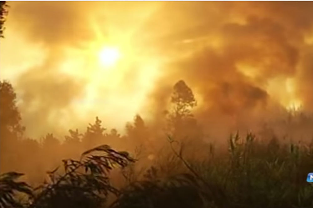 (VIDEO) ČILE POSTAO ŽIVA BUKTINJA: Vatrena stihija progutala 11.000 hektara šuma