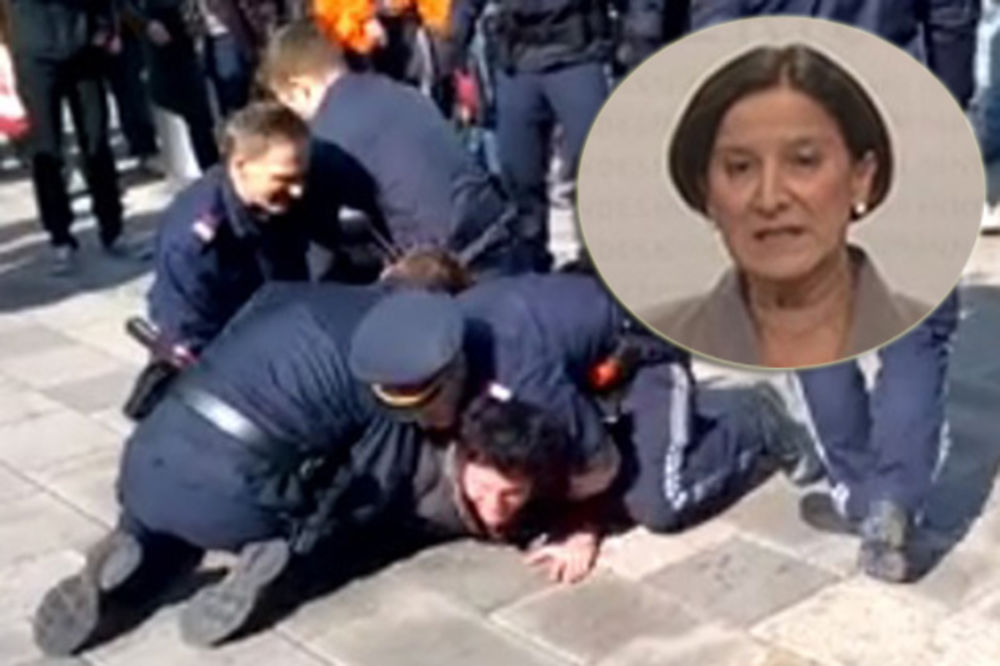(VIDEO) AUSTRIJA U ŠOKU: Ministarka policije javno pohvalila iživljavanje policajaca!