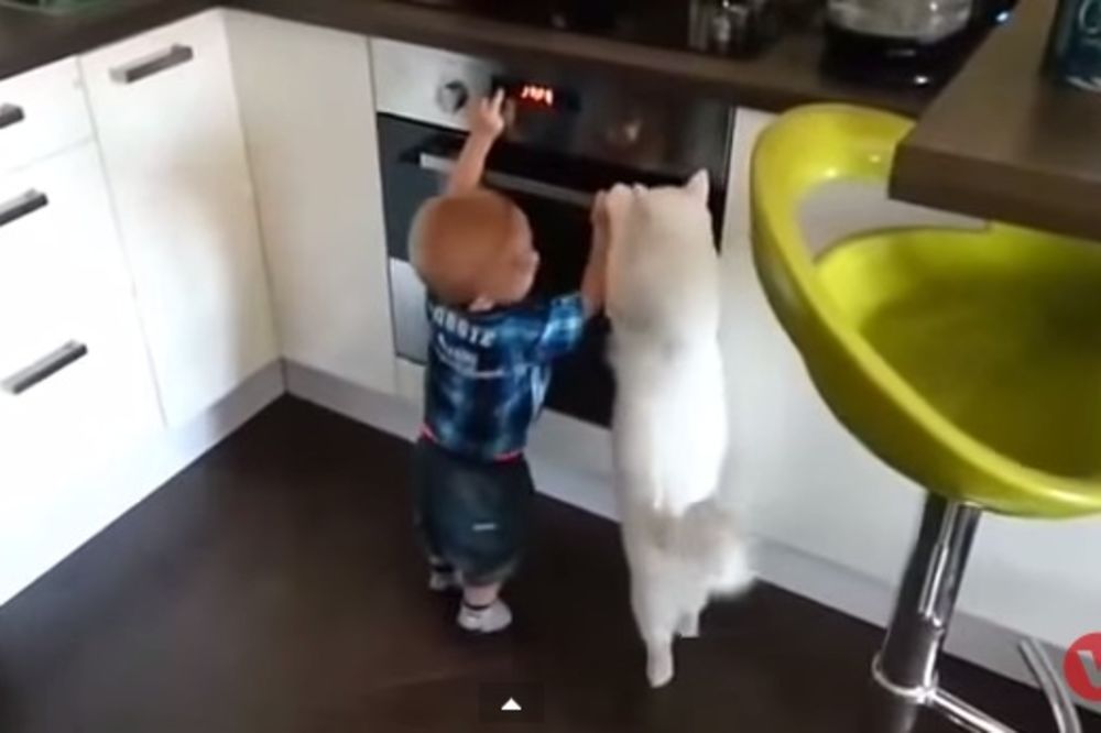 (VIDEO) Beba umalo ušla u rernu, nećete verovati šta je mačka uradila!