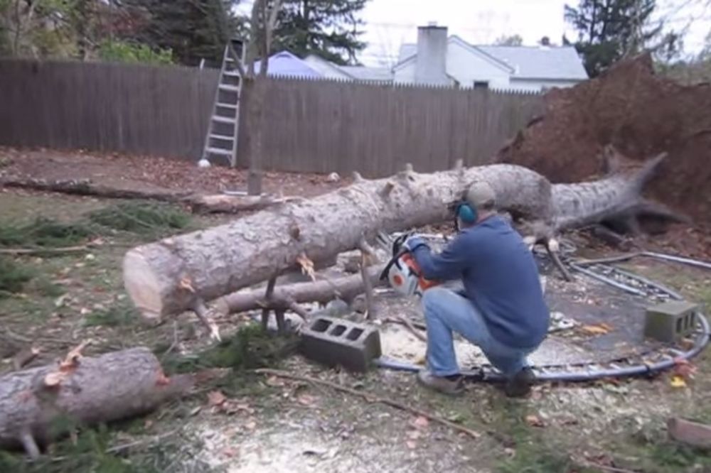 (VIDEO) Motornom testerom je presekao staro drvo, a ono što se desilo niko nije očekivao...