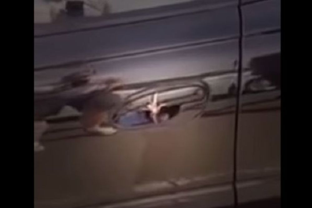 (VIDEO) NEPRIJATNO IZNENAĐENJE: Osetio je nešto dlakavo kada je otvarao vrata auta