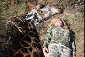ZGROZILA SVET: Mislila je da je super ideja ubiti žirafu i slikati se pored nje sa osmehom