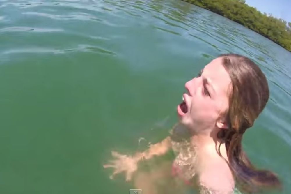 (VIDEO) JEZIVO: Devojka poludela od straha kada se našla oči u oči sa ogromnim morskim stvorenjem!