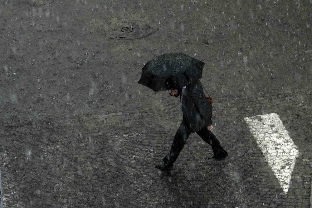 ORKANSKI VETAR NAPRAVIO HAOS U  NOVOM SADU:  Odvaljivao stabla i saobraćajne znakove, rušio ograde