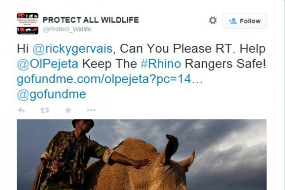 Ovo je poslednji severni beli nosorog na svetu: 24 sata ga čuvaju naoružani telohranitelji