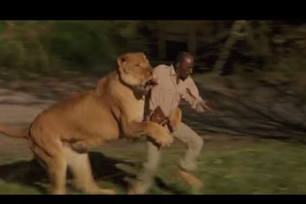 (VIDEO) POTPUNO ISTINITA PRIČA: 70 ljudi je teže povređeno dok su snimali film sa 100 lavova