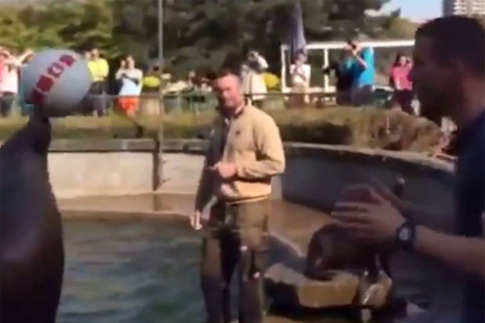 (VIDEO) HIT NA INTERNETU: Pogledajte kako Podolski igra glavomet sa morskim lavom