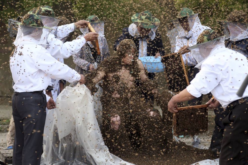 (FOTO) OBORIO GINISOV REKORD: Stavio na sebe više od milion pčela!
