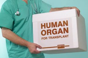 KRAĆE SE ČEKA NA ORGANE: U Austriji povećan broj transplatacija srca i pluća!