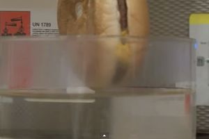 (VIDEO) ŠOKANTNO: Šta se desi kada umočite hamburger u stomačnu kiselinu?