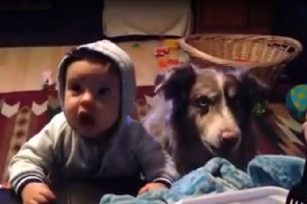 (VIDEO) Učila svog mališana da kaže mama, evo šta je pas uradio!