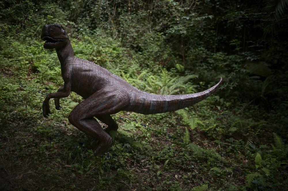 NOVOSAĐANI REKLI SVOJE: Dino park biće kod Spensa