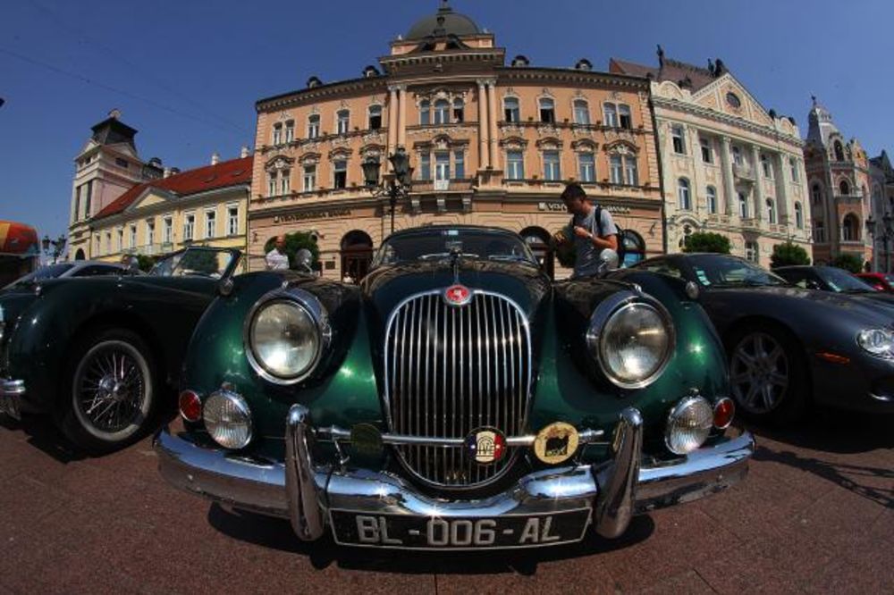(FOTO) OLDTAJMERI UKRASILI CENTAR GRADA: Svetska izložba jaguara stigla u Novi Sad