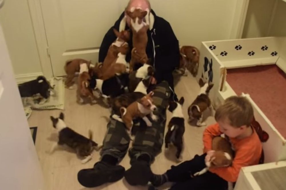 (VIDEO) PUNA KUĆA: Ovaj čovek živi sa decom i čak 16 štenaca, pa kad nagrnu...