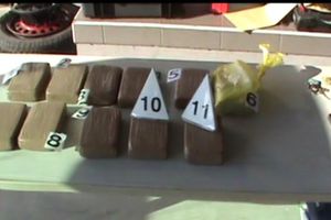STEFANOVIĆ: Policija za tri meseca zaplenila 600 kg narkotika