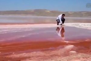 (VIDEO) KRVAVO JEZERO: Pocrvenela voda u Turskoj, stanovnici u šoku