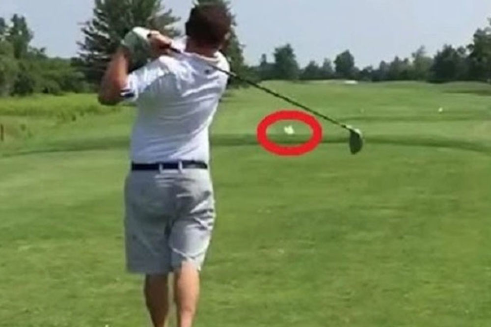 (VIDEO) UBICA PTICA: Golfer lopticom usmrtio galeba!
