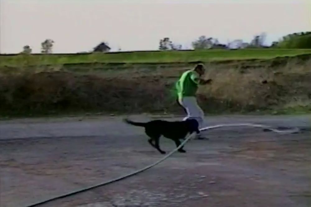 (VIDEO) TREBA SE SNAĆI NA VRUĆINAMA: Ovaj pas zna kako da rashladi svog gazdu