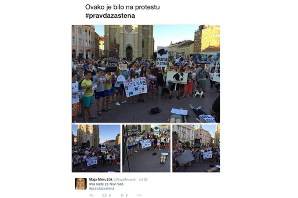 PRAVDA ZA STENA: Na stotine protestovalo u NS zbog eutanazije omiljenog psa lutalice