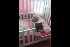 (VIDEO) SNIMAK KOJI TOPI SRCE: Evo šta je mama zatekla u krevecu svoje bebe!