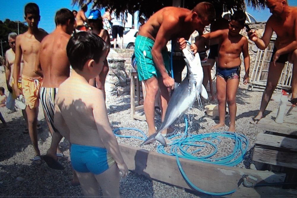 (FOTO) KAKAV ULOV: Momci u Sutomoru u rukama drže bebu morskog psa!